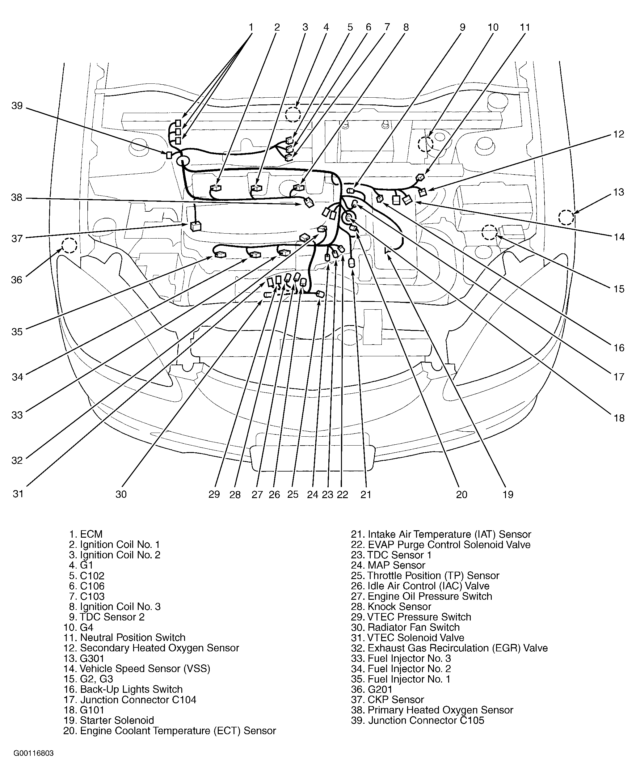 G00116803