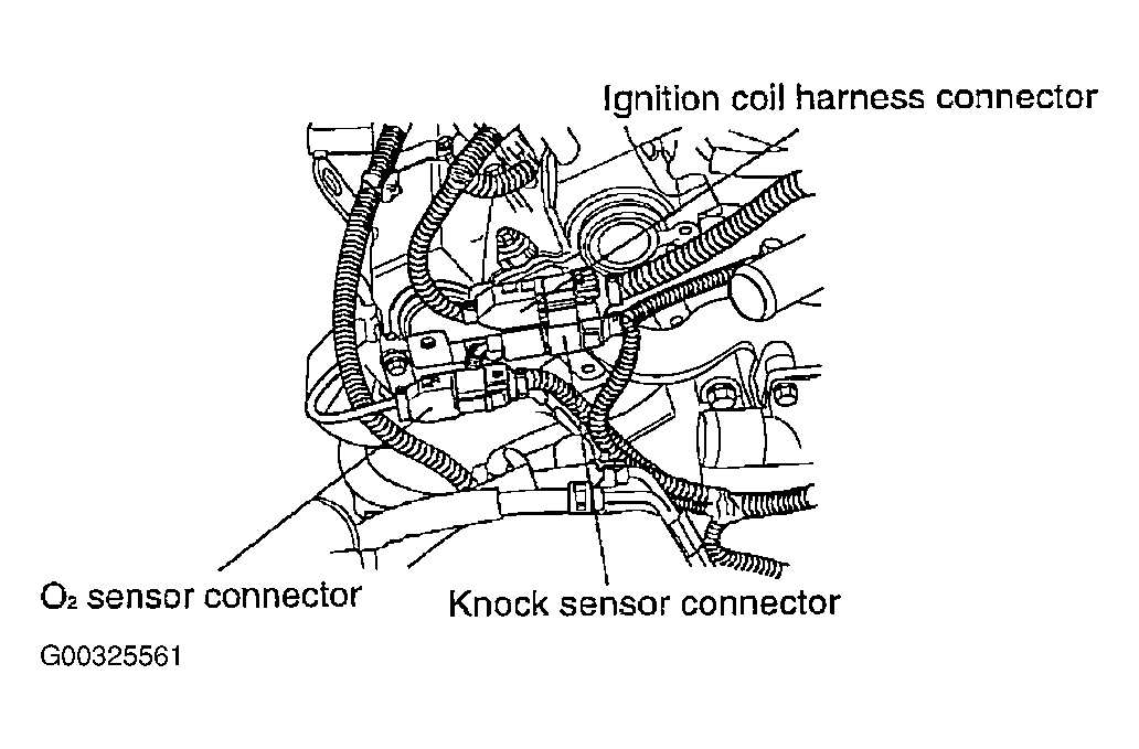 G00325561