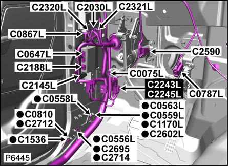 G00478736