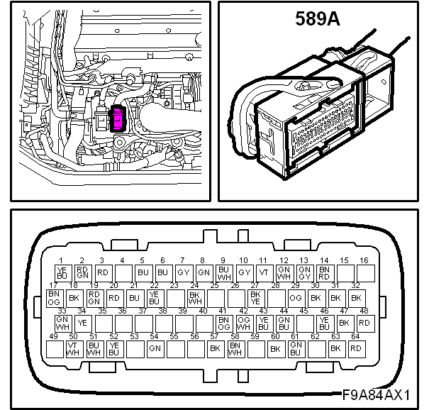 G00494376