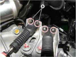 G00558365
