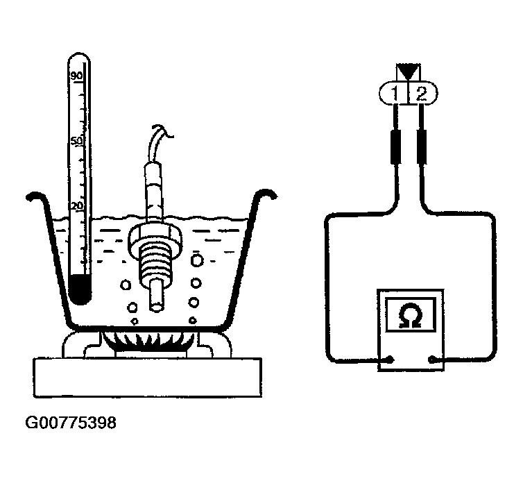 G00775398
