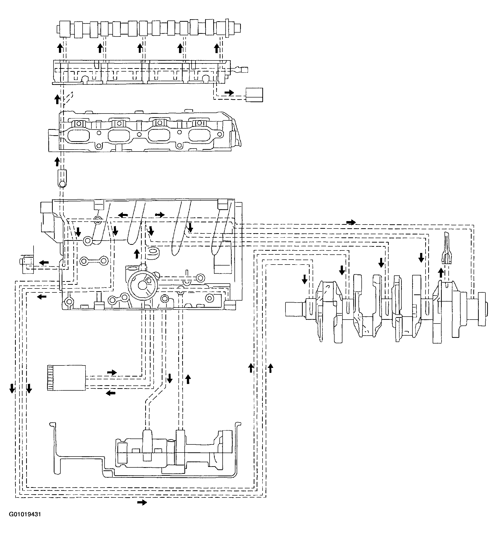 G01019431