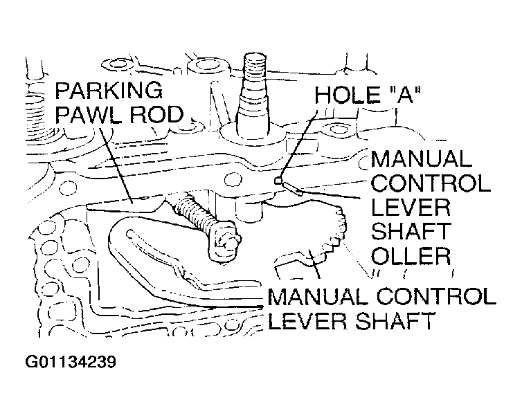 G01134239