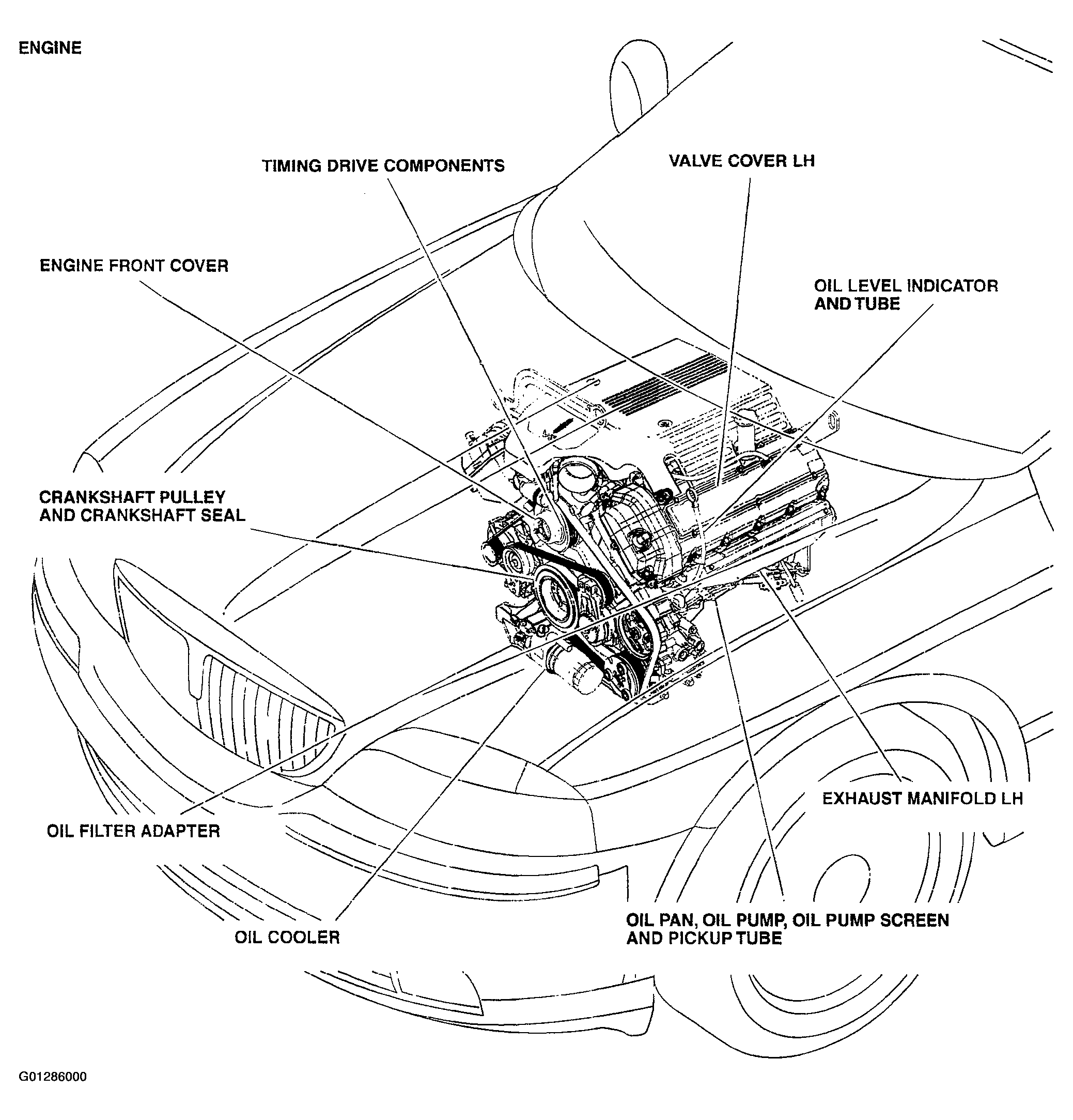 G01286000