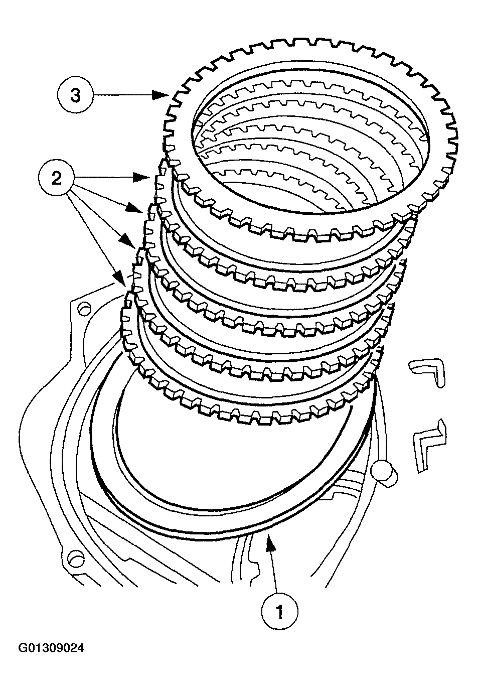 G01309024