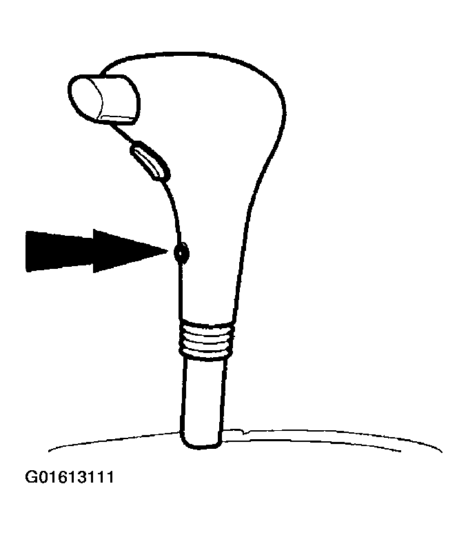 G01613111