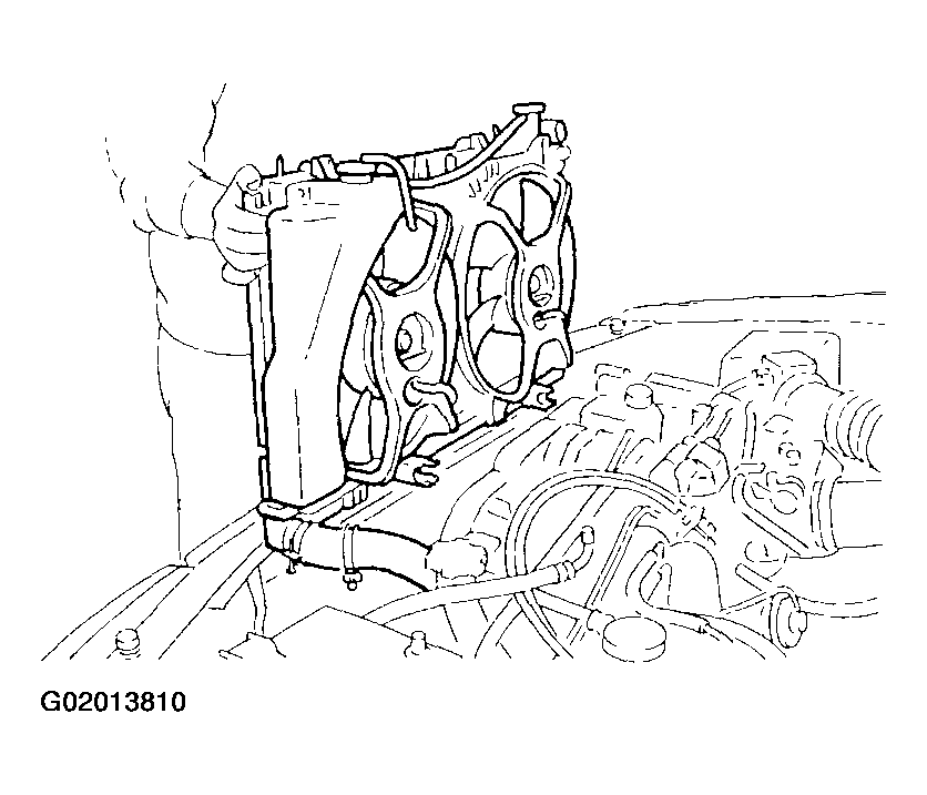 G02013810