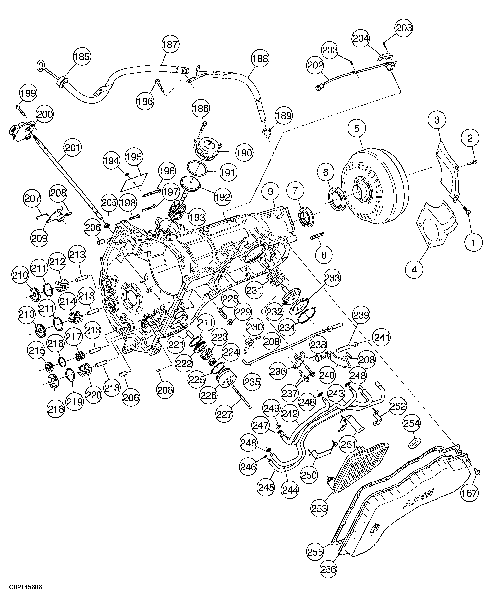 G02145686