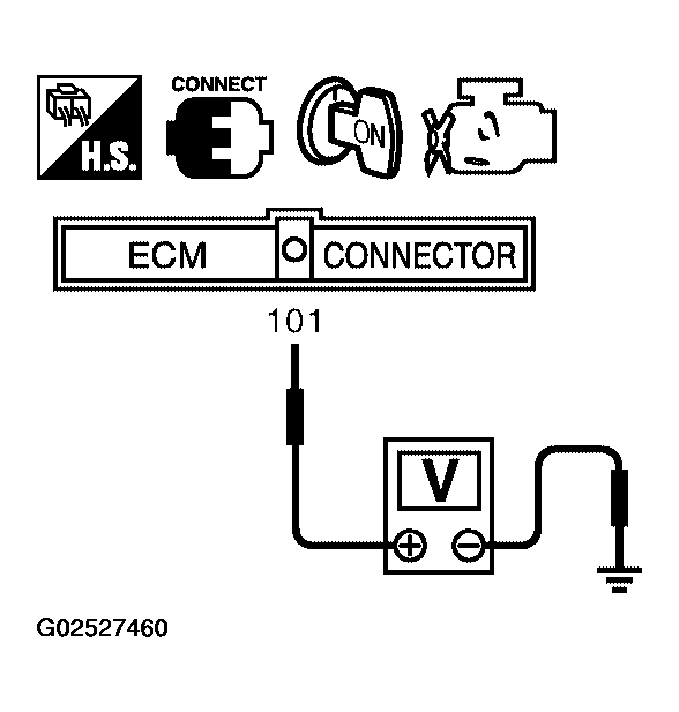G02527460