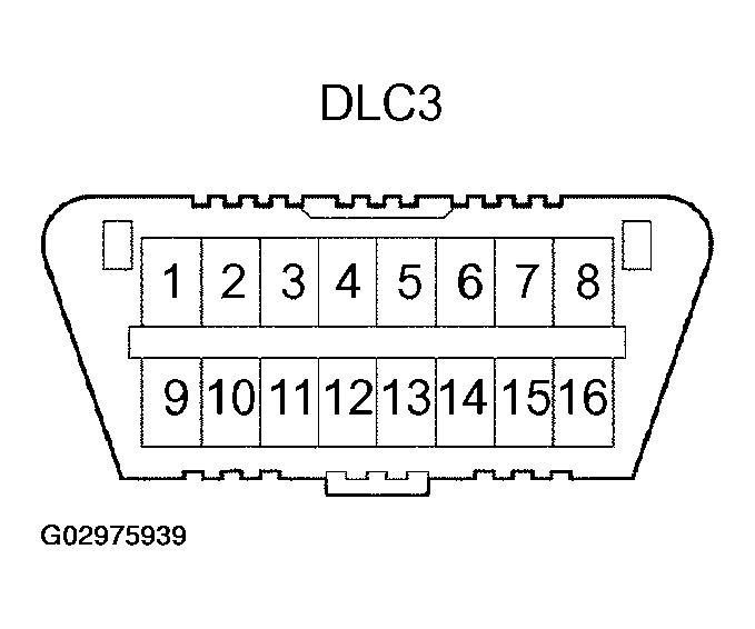 G02975939