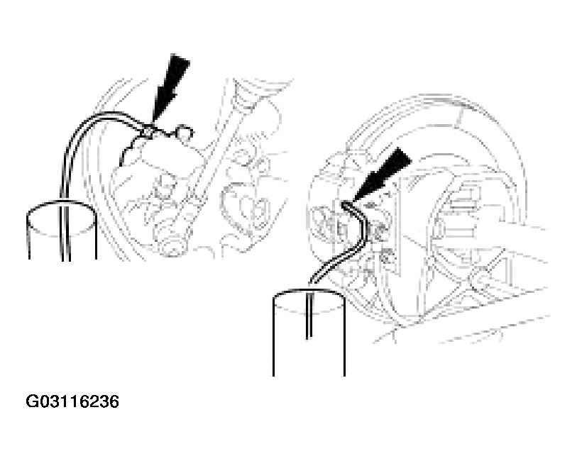 G03116236