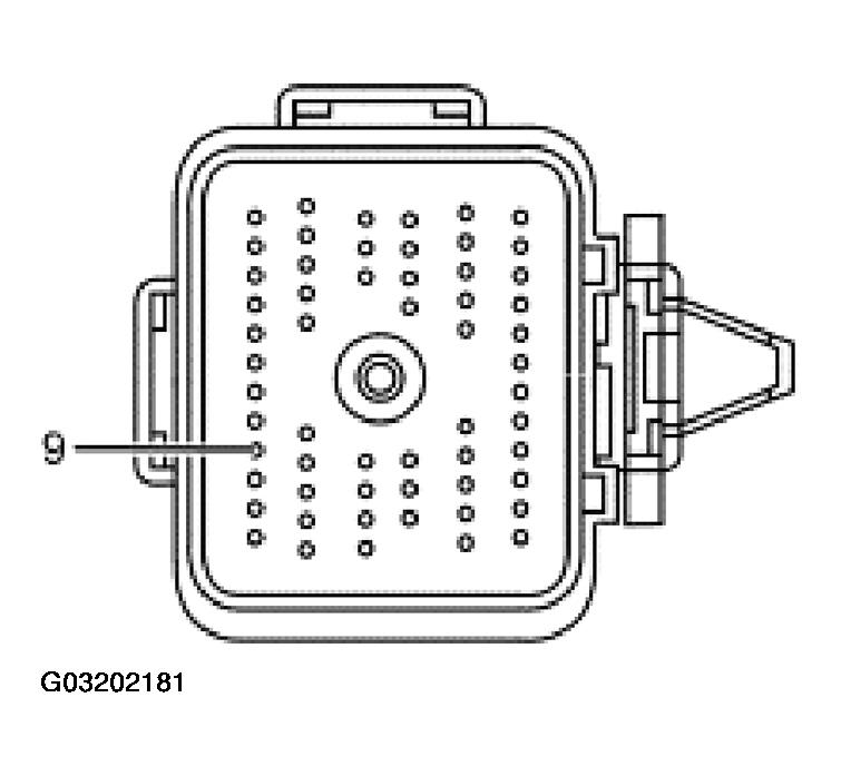 G03202181