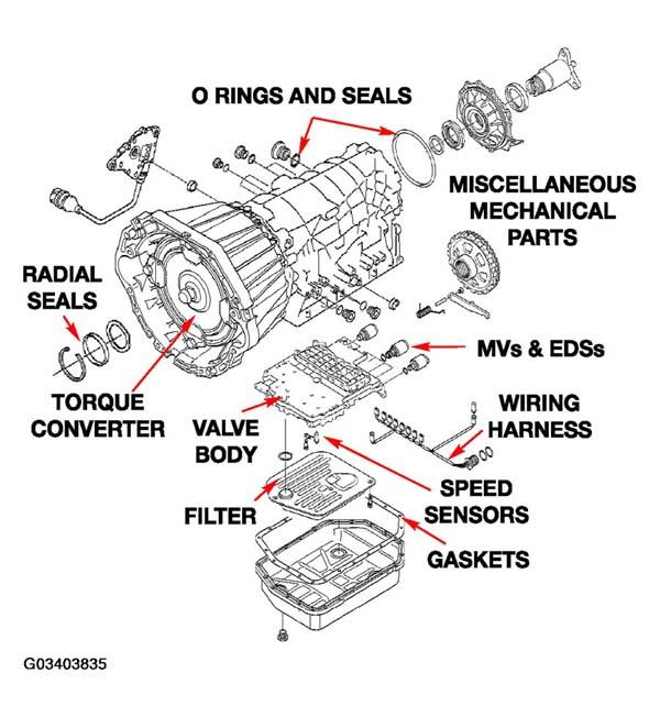 G03403835