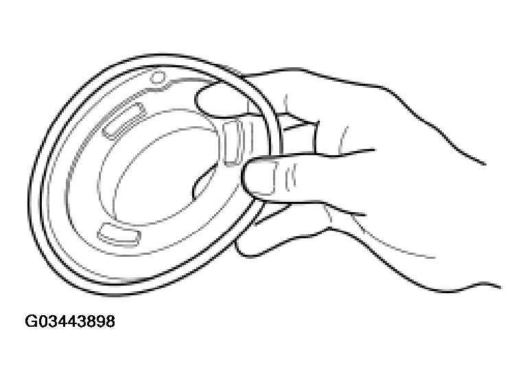 G03443898