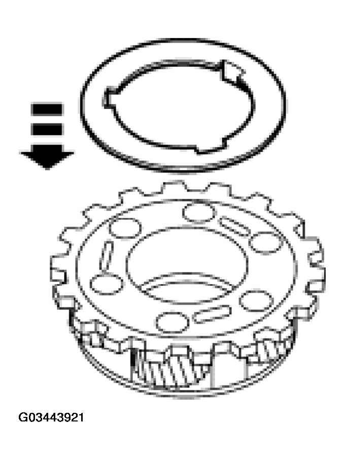 G03443921