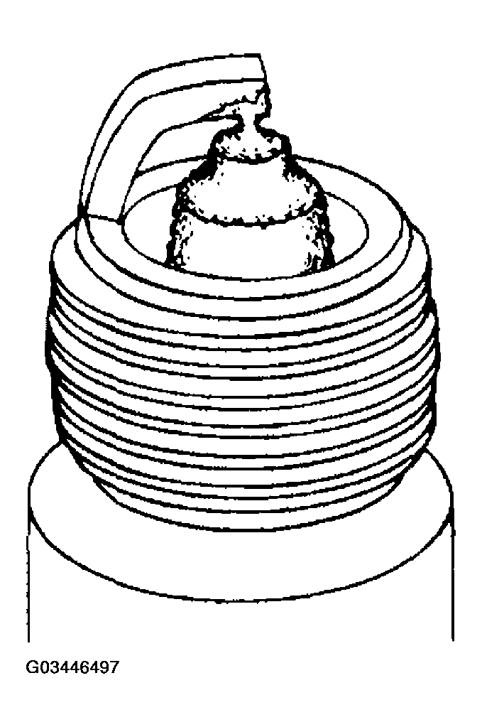 G03446497