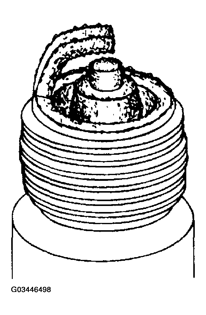 G03446498