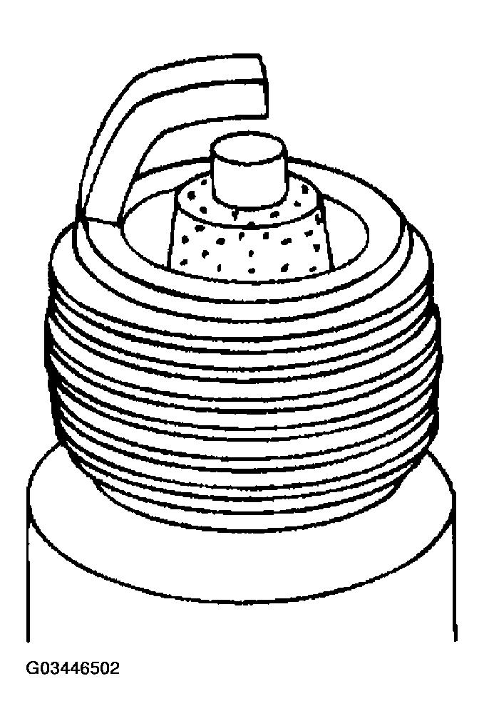 G03446502