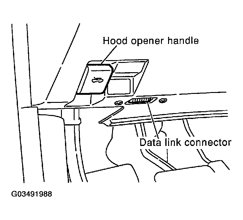 G03491988