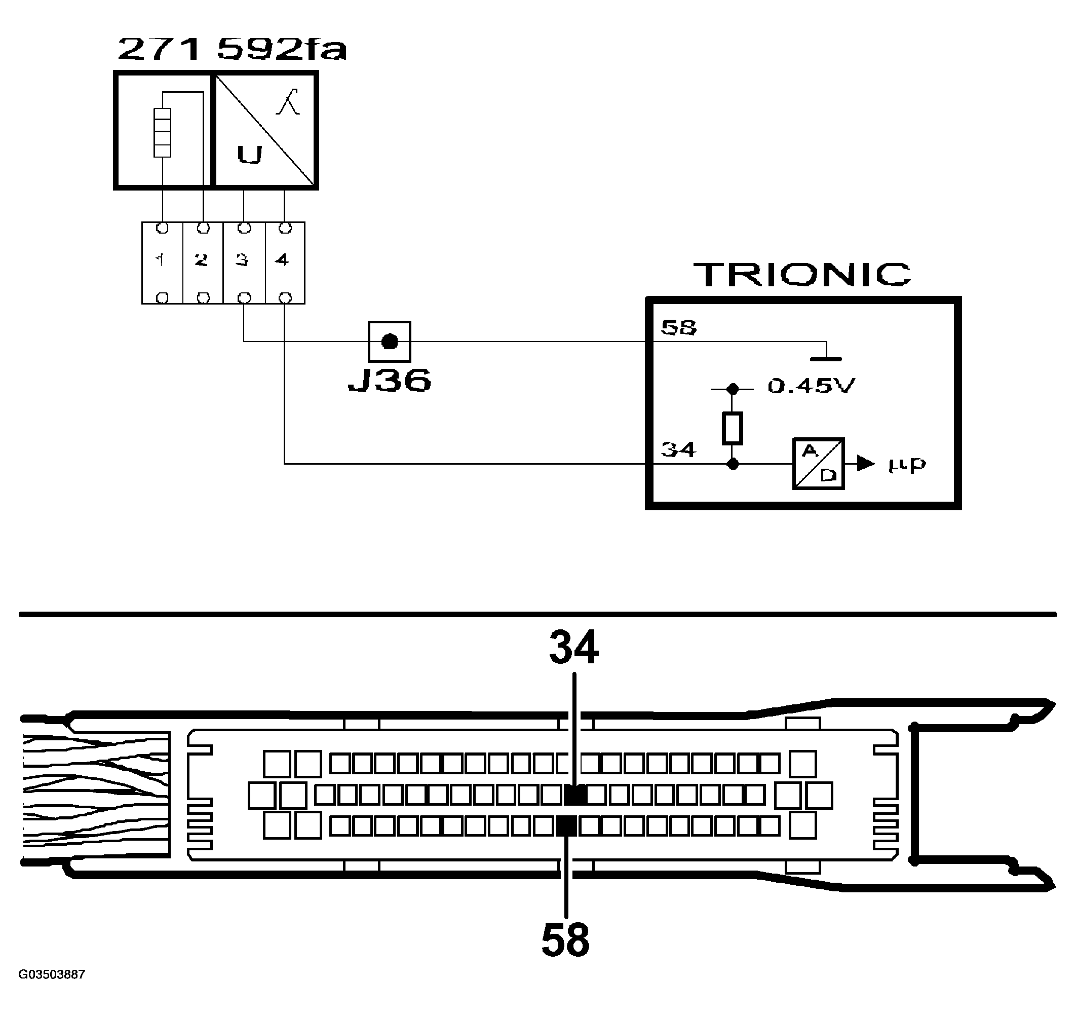 G03503887