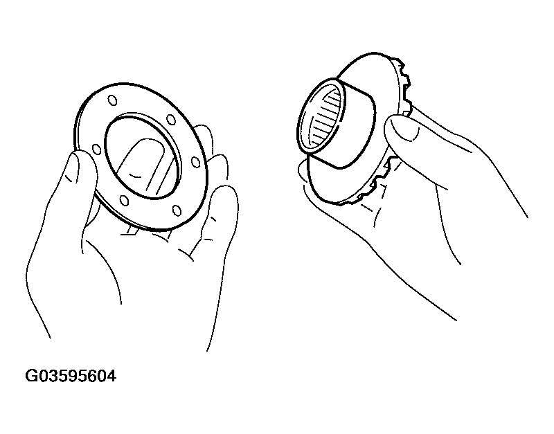 G03595604