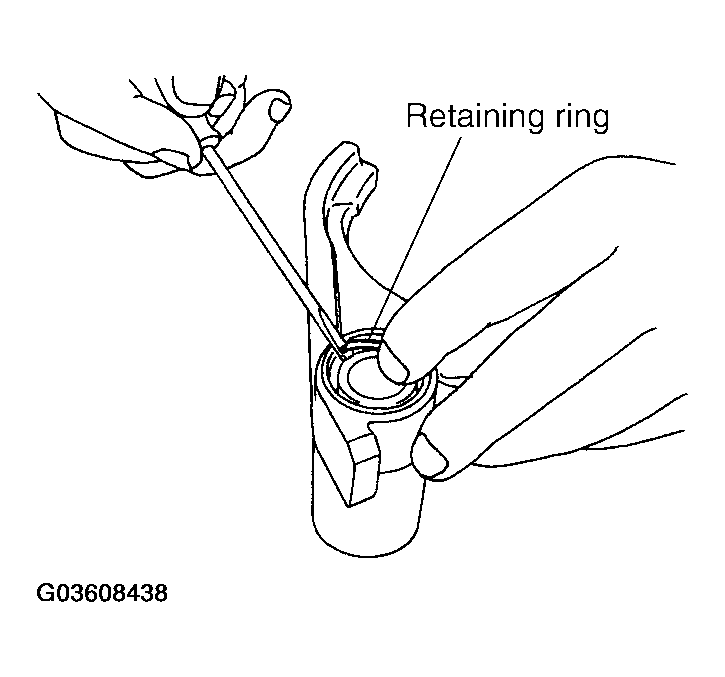 G03608438