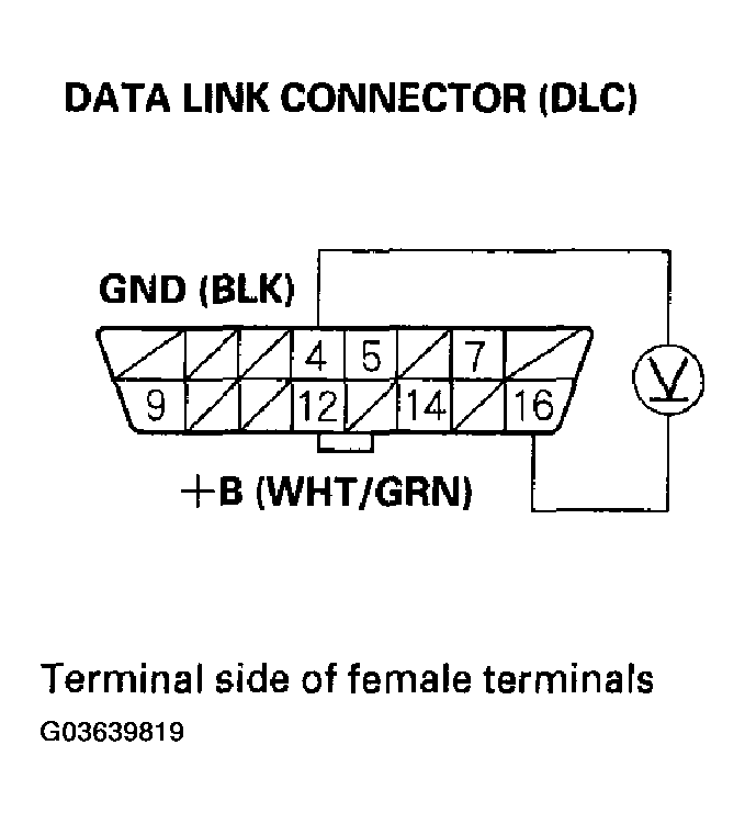 G03639819