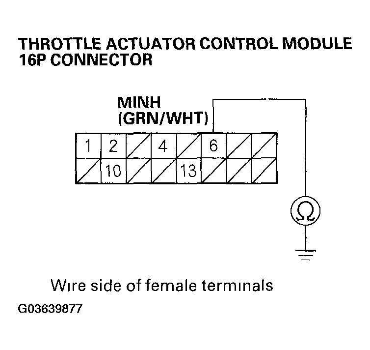 G03639877
