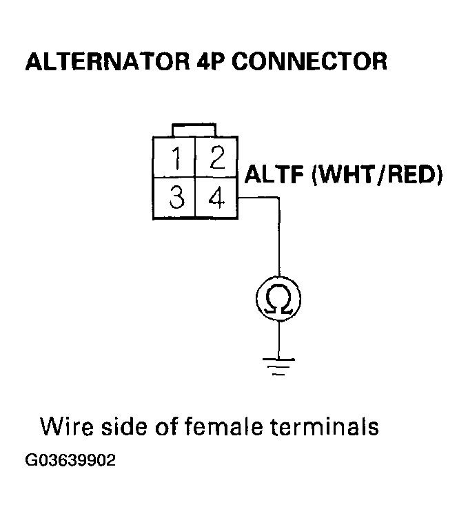 G03639902