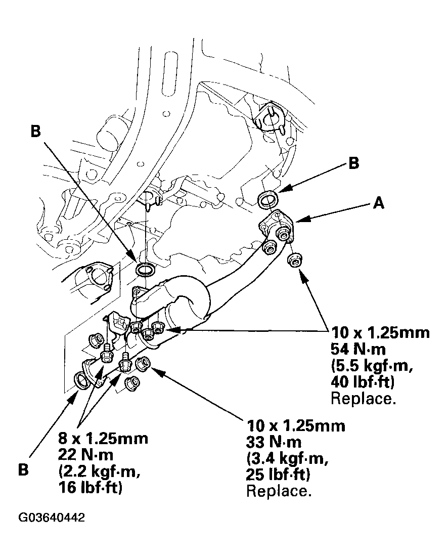 G03640442