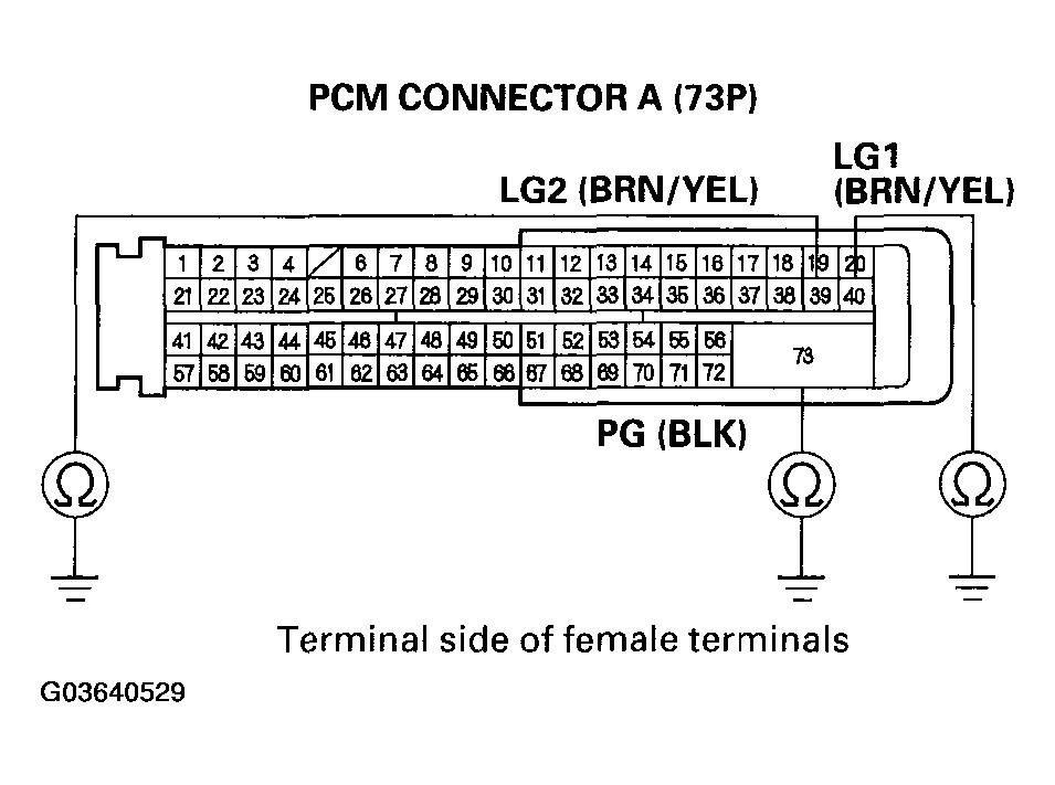 G03640529