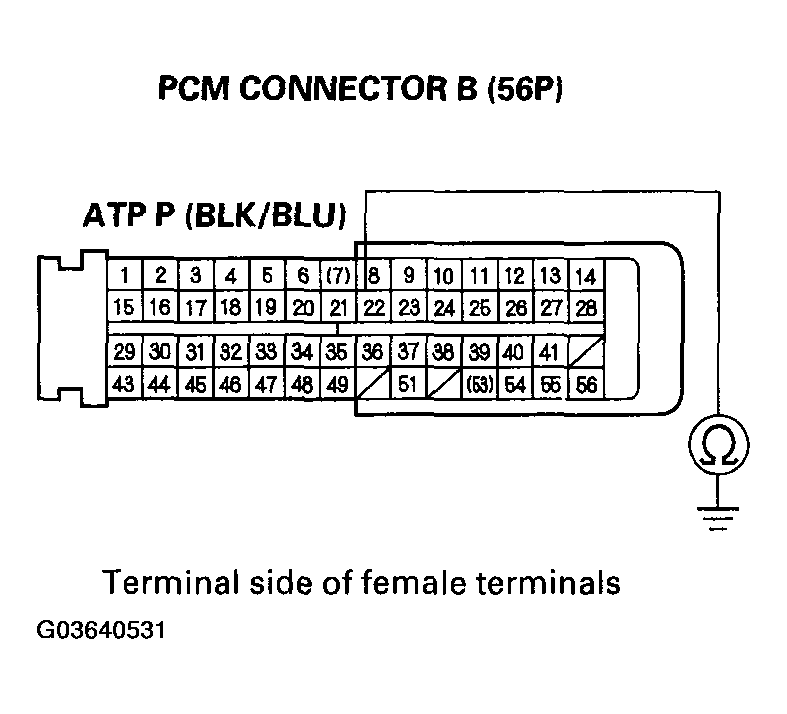 G03640531