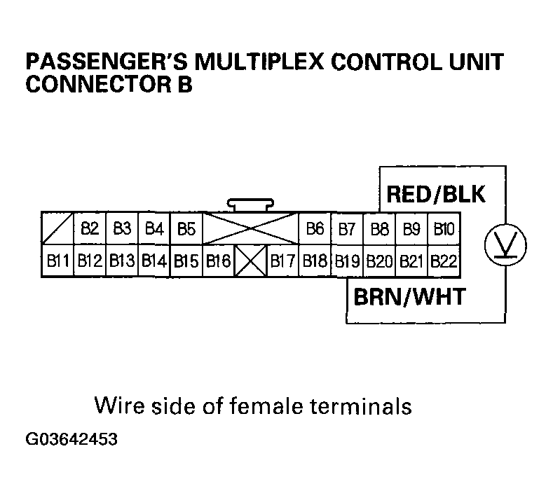 G03642453