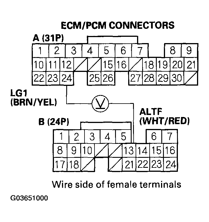 G03651000