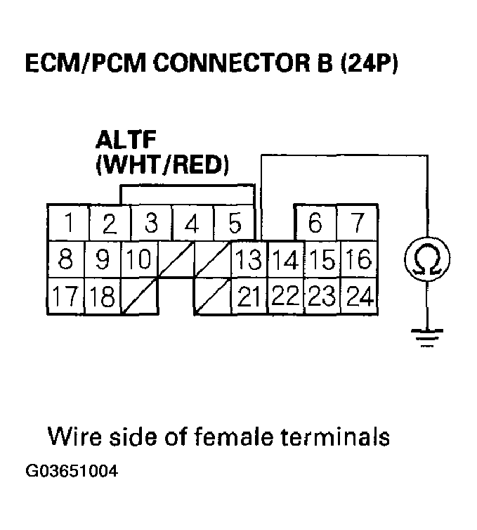 G03651004