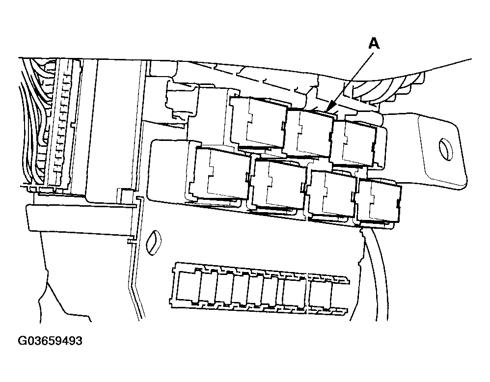 G03659493