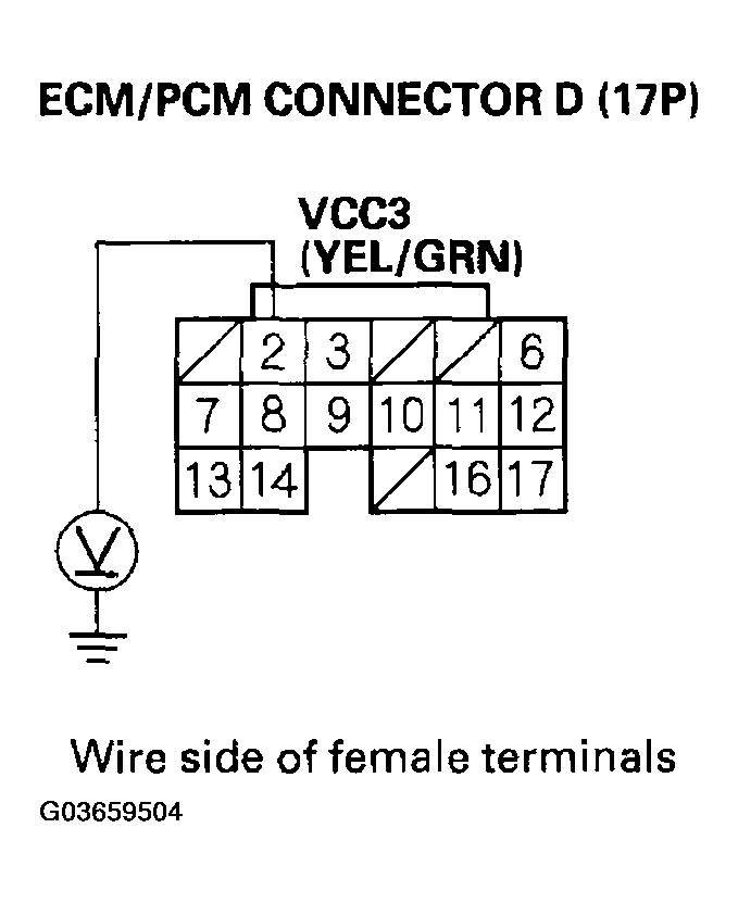 G03659504