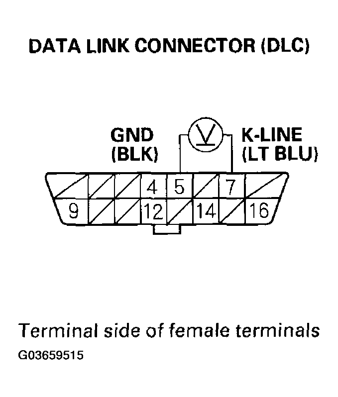 G03659515
