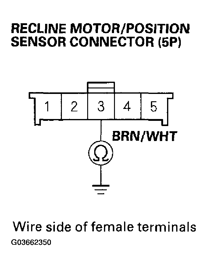 G03662350