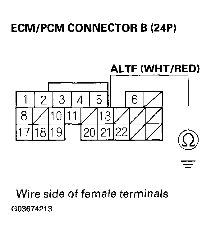 G03674213