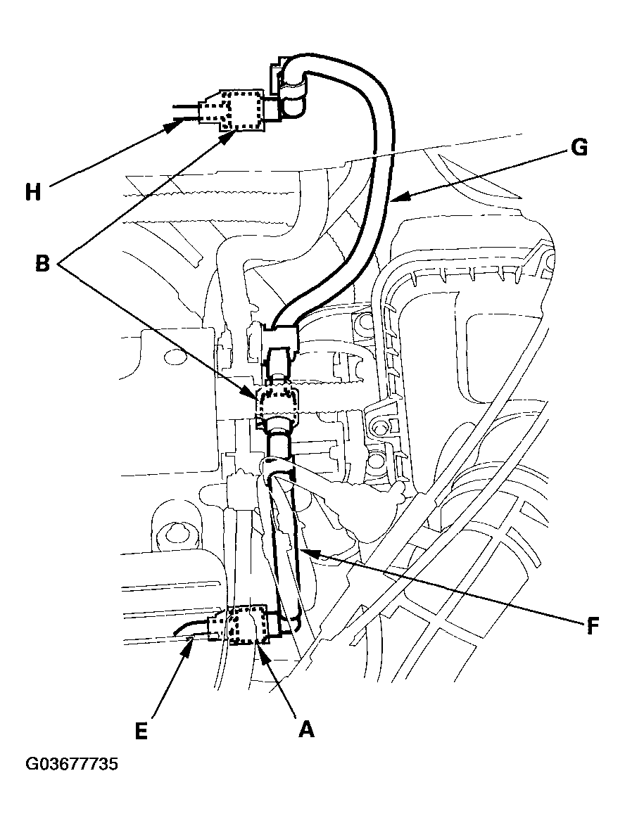 G03677735