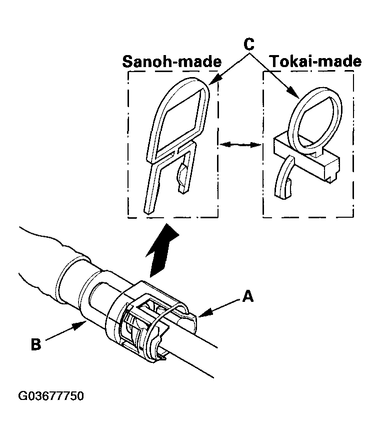 G03677750