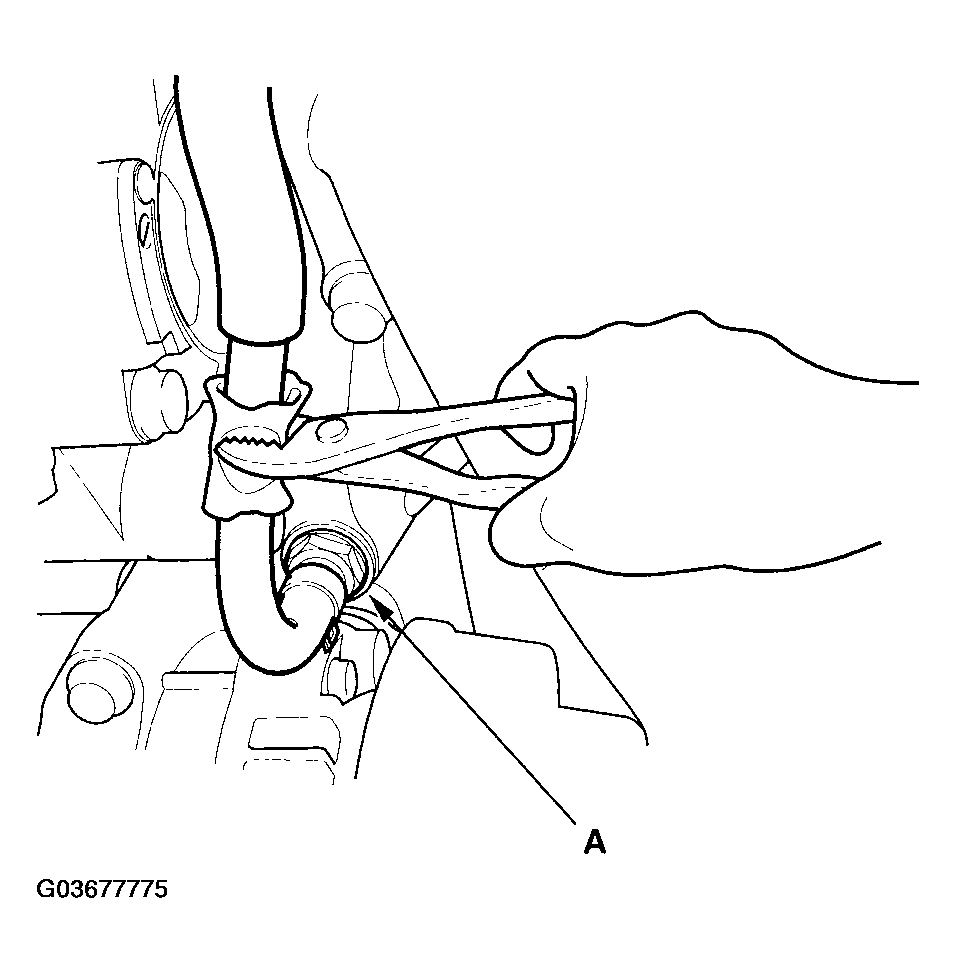 G03677775