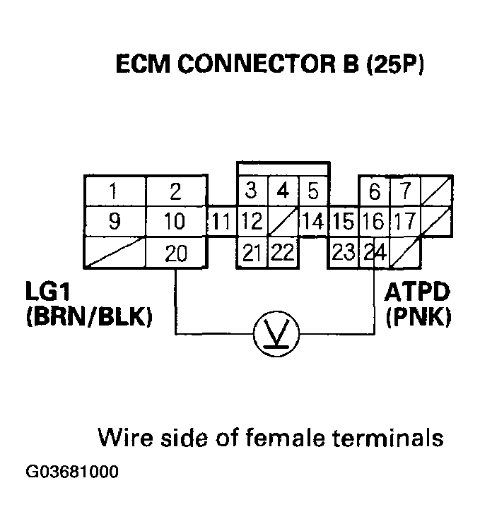 G03681000