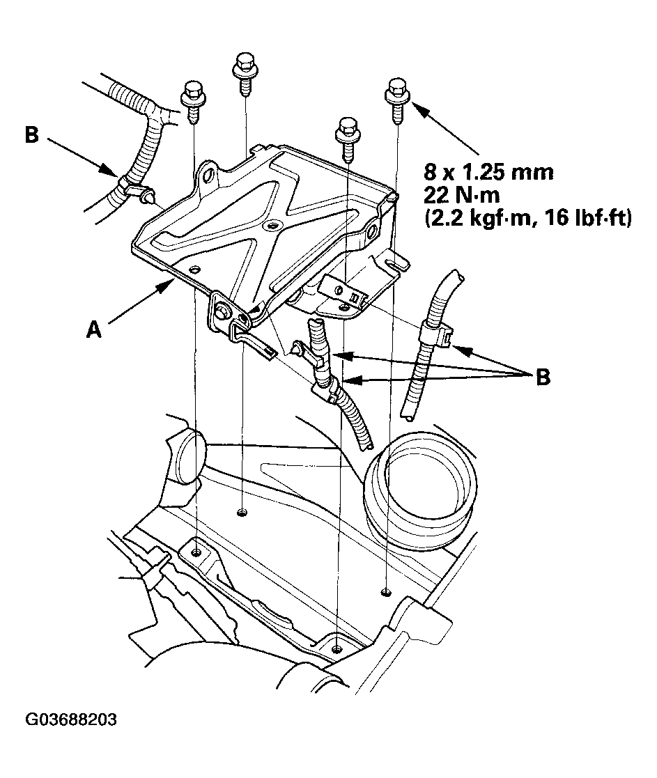 G03688203
