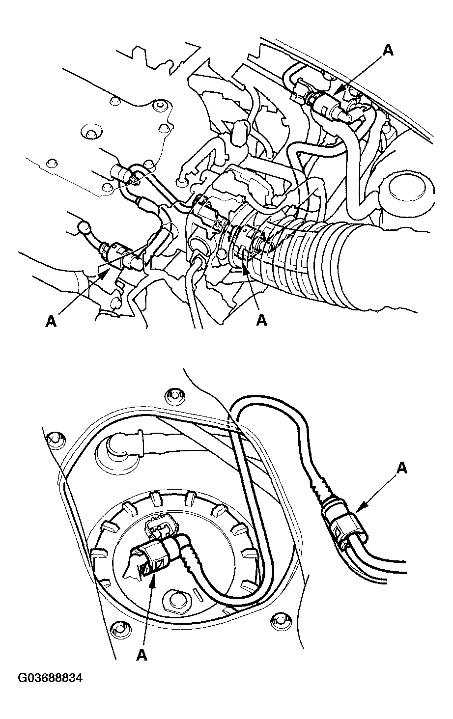 G03688834
