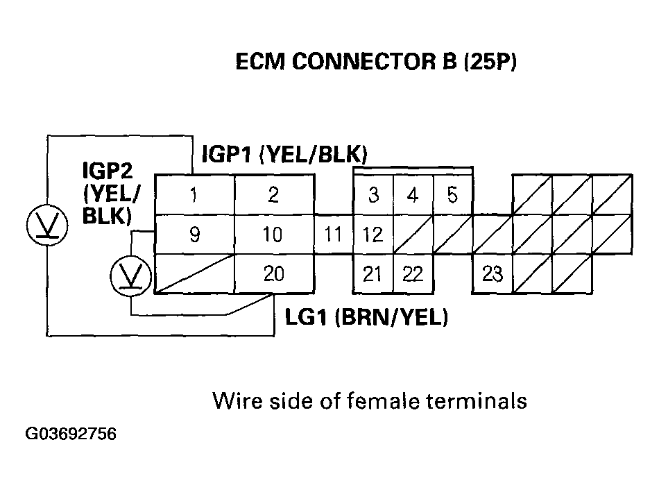 G03692756