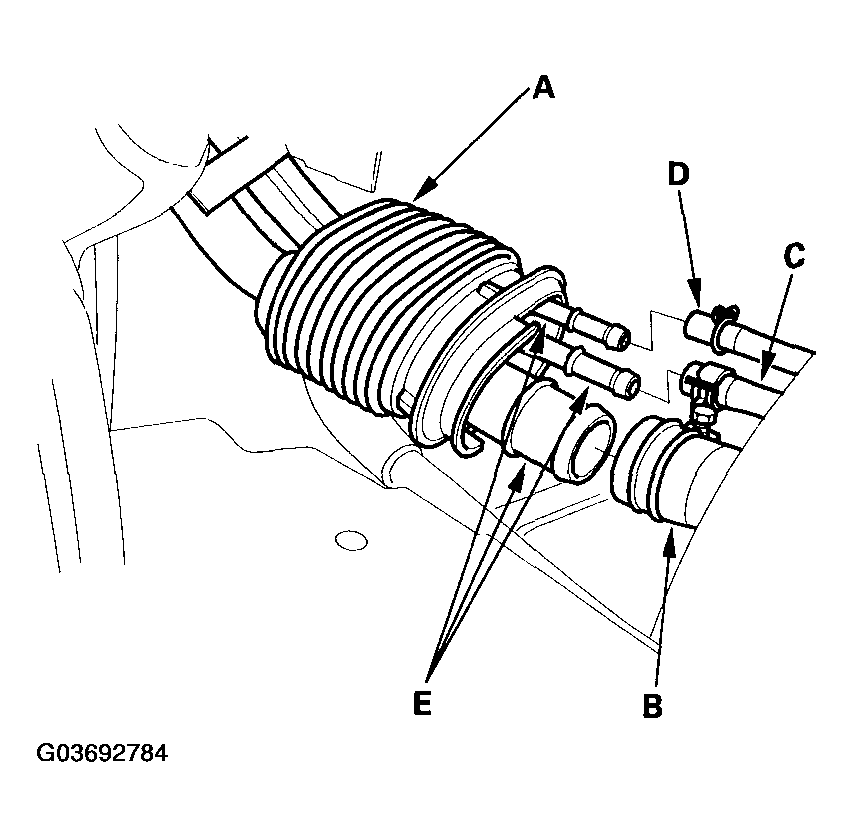 G03692784