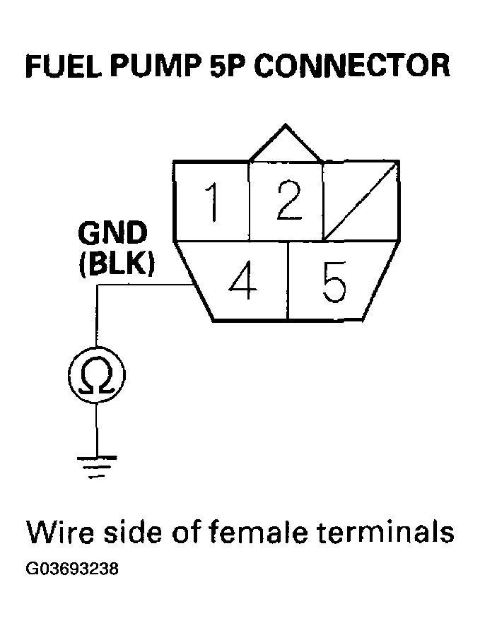 G03693238